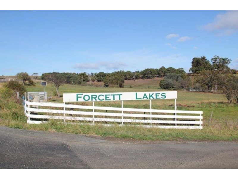 88 Lewisham Road (Forcett Lakes Golf Club), Forcett TAS 7173