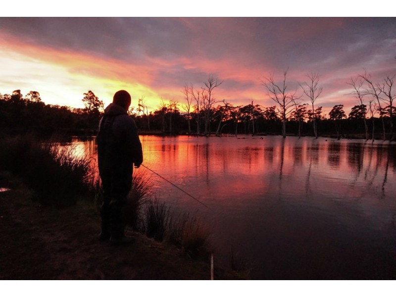 172 Nugent Road, Buckland TAS 7190