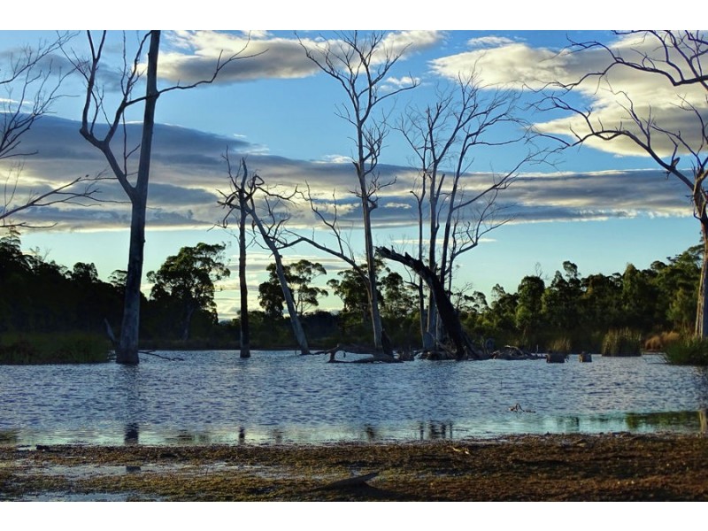 172 Nugent Road, Buckland TAS 7190