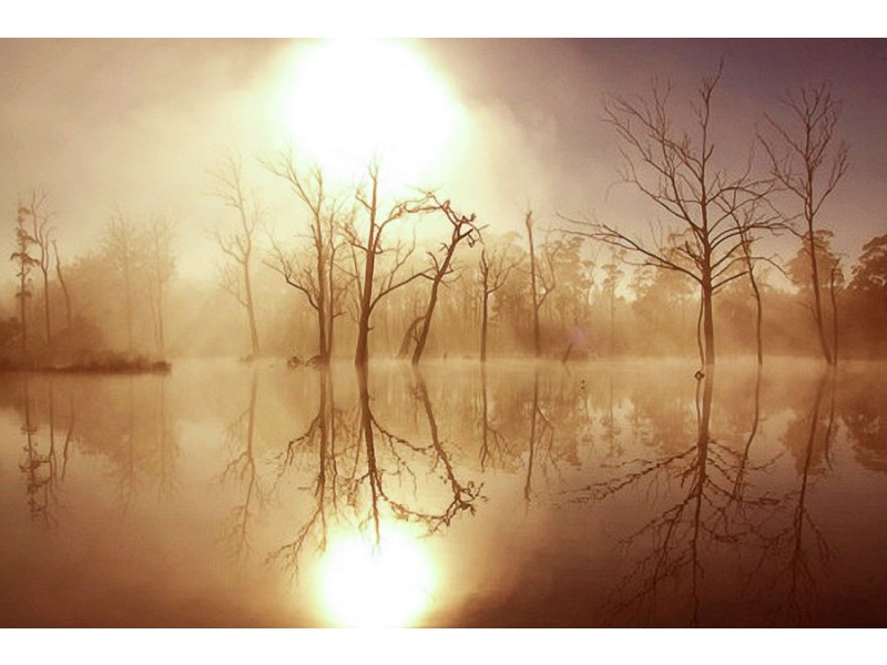 172 Nugent Road, Buckland TAS 7190