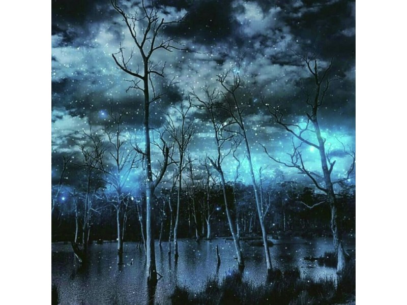 172 Nugent Road, Buckland TAS 7190