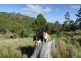 172 Nugent Road, Buckland TAS 7190