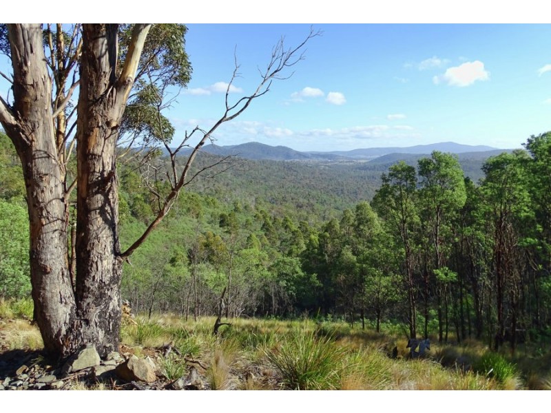 172 Nugent Road, Buckland TAS 7190