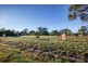 Lots 4, 5, 6, 7 and 8 Gate Five Road, Carlton River TAS 7173