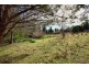 4125 Arthur Highway, Murdunna TAS 7178