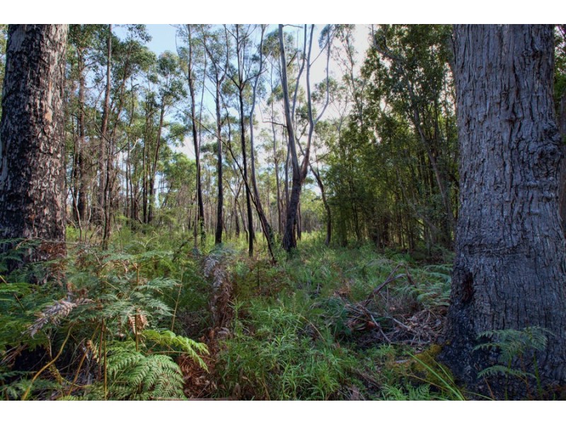 4125 Arthur Highway, Murdunna TAS 7178