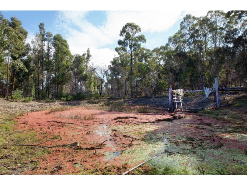 4125 Arthur Highway, Murdunna TAS 7178