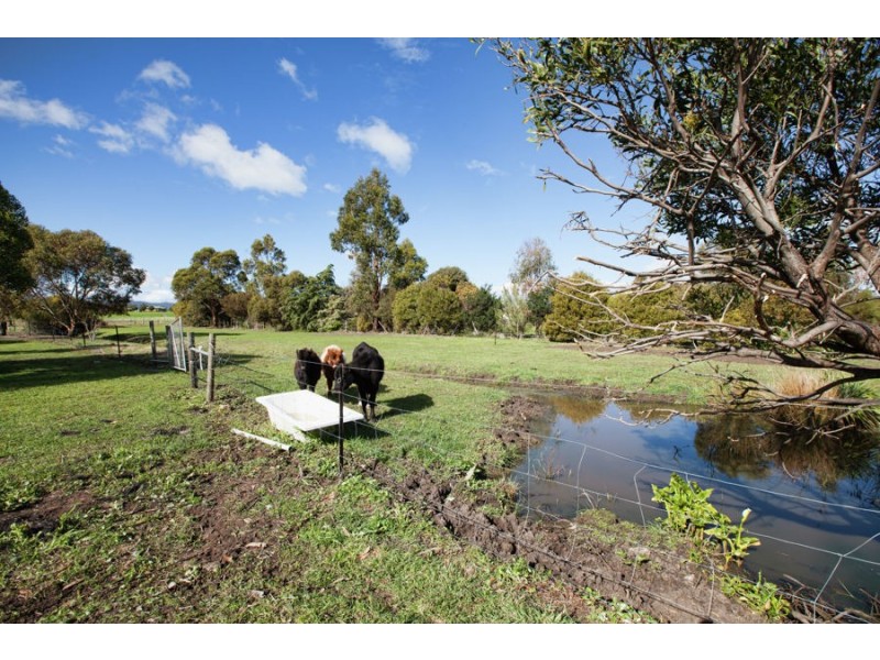 3093 Tasman Highway, Orielton TAS 7172