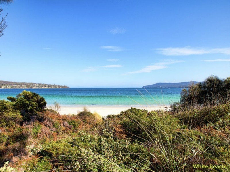218 White Beach Road, White Beach TAS 7184