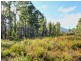 Lot 1/4270 Arthur Highway, Murdunna TAS 7178