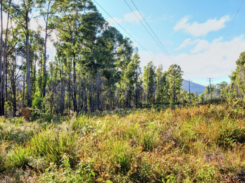 Lot 1/4270 Arthur Highway, Murdunna TAS 7178