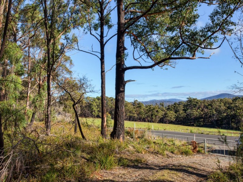 Lot 1/4270 Arthur Highway, Murdunna TAS 7178