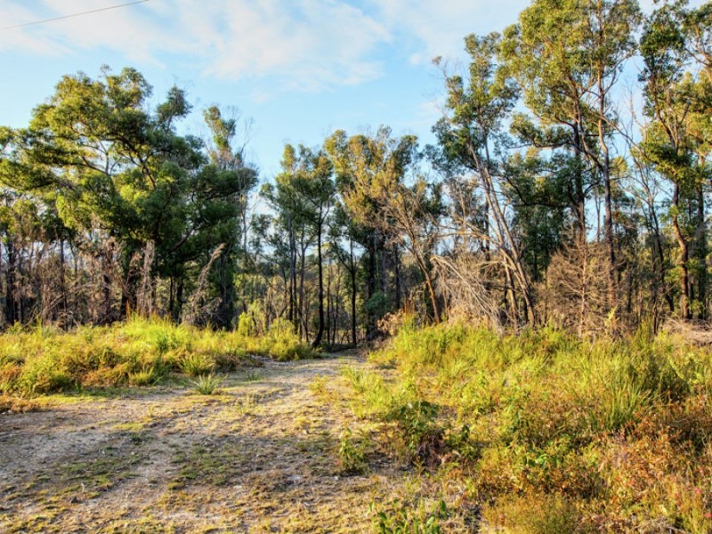 Lot 1/4270 Arthur Highway, Murdunna TAS 7178
