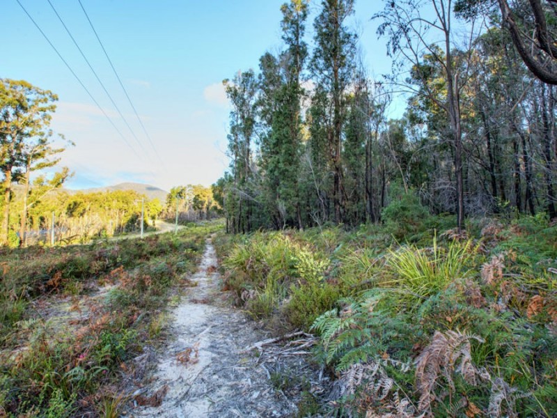 Lot 1/4270 Arthur Highway, Murdunna TAS 7178