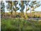 Lot 1/4270 Arthur Highway, Murdunna TAS 7178