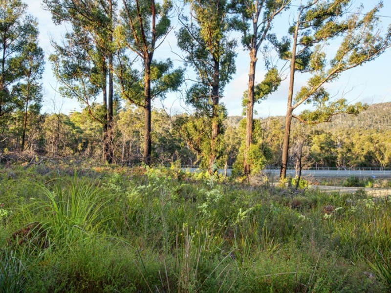 Lot 1/4270 Arthur Highway, Murdunna TAS 7178