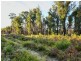 Lot 1/4270 Arthur Highway, Murdunna TAS 7178