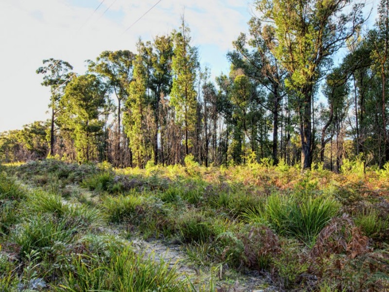 Lot 1/4270 Arthur Highway, Murdunna TAS 7178