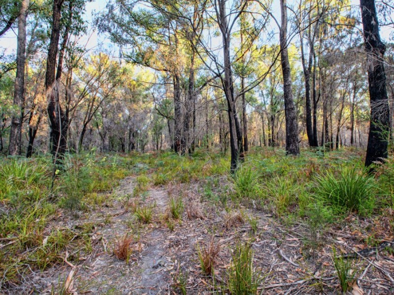 Lot 1/4270 Arthur Highway, Murdunna TAS 7178