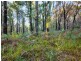 Lot 1/4270 Arthur Highway, Murdunna TAS 7178