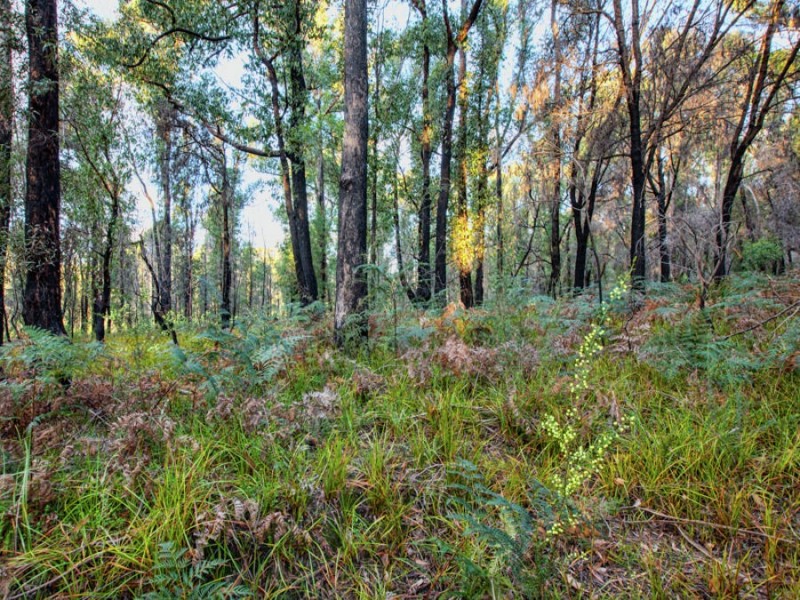 Lot 1/4270 Arthur Highway, Murdunna TAS 7178
