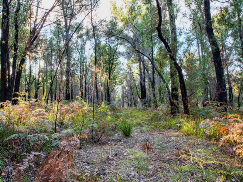 Lot 1/4270 Arthur Highway, Murdunna TAS 7178
