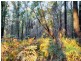 Lot 1/4270 Arthur Highway, Murdunna TAS 7178
