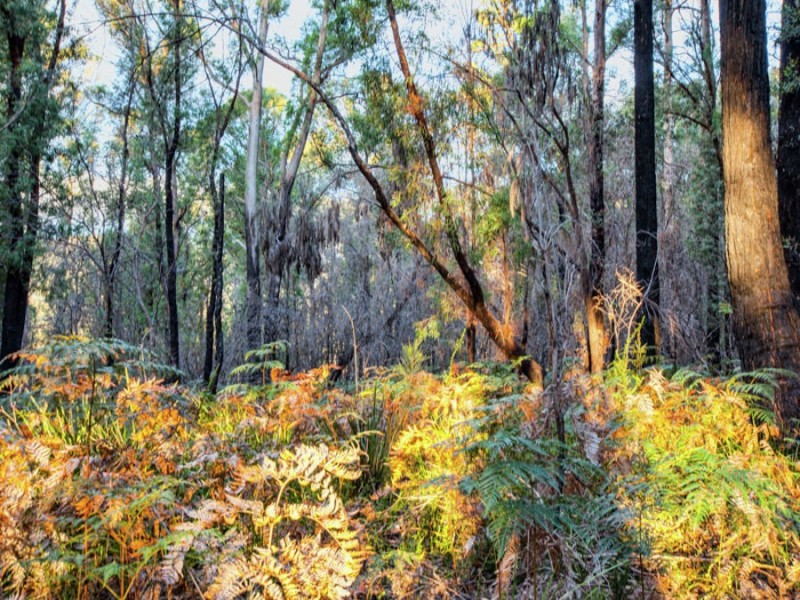 Lot 1/4270 Arthur Highway, Murdunna TAS 7178