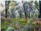Lot 1/4270 Arthur Highway, Murdunna TAS 7178