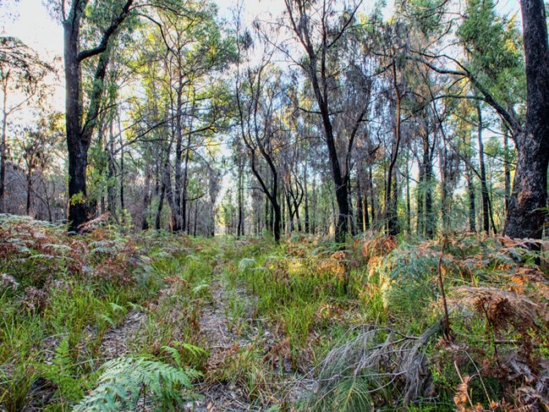 Lot 1/4270 Arthur Highway, Murdunna TAS 7178