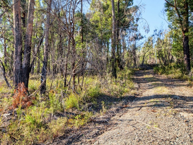Lot 1/4270 Arthur Highway, Murdunna TAS 7178