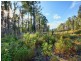 Lot 1/4270 Arthur Highway, Murdunna TAS 7178
