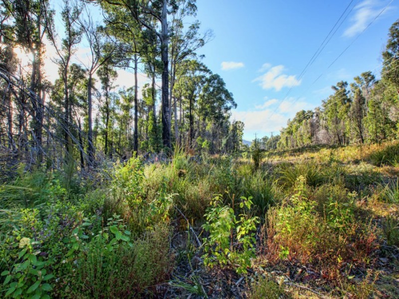 Lot 1/4270 Arthur Highway, Murdunna TAS 7178