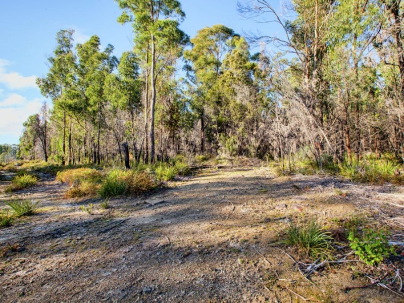 Lot 1/4270 Arthur Highway, Murdunna TAS 7178