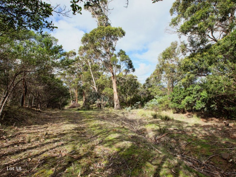 18 Susans Bay Road, Primrose Sands TAS 7173