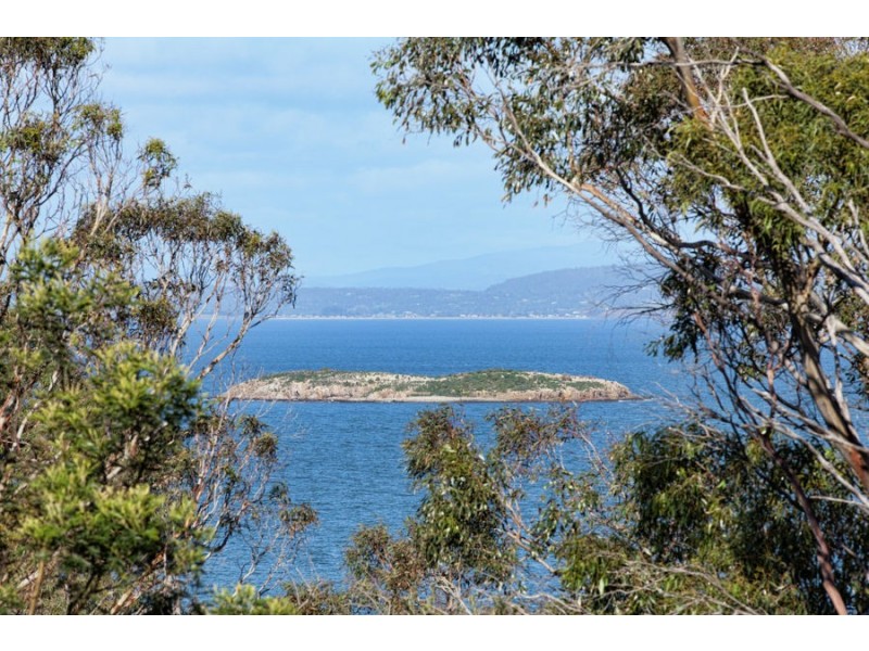 19 Rowan Avenue, Primrose Sands TAS 7173