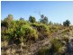 Lots 1 & 16 65 Sommers Bay Road, Murdunna TAS 7178