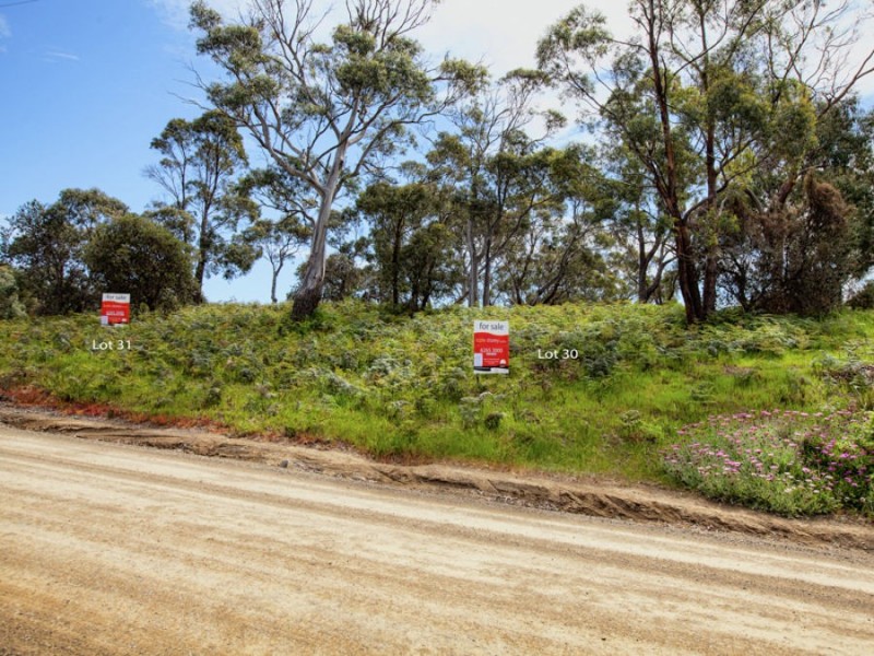 Lots 31 Apex Point Road, White Beach TAS 7184