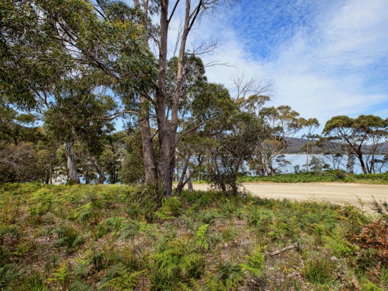 Lots 31 Apex Point Road, White Beach TAS 7184
