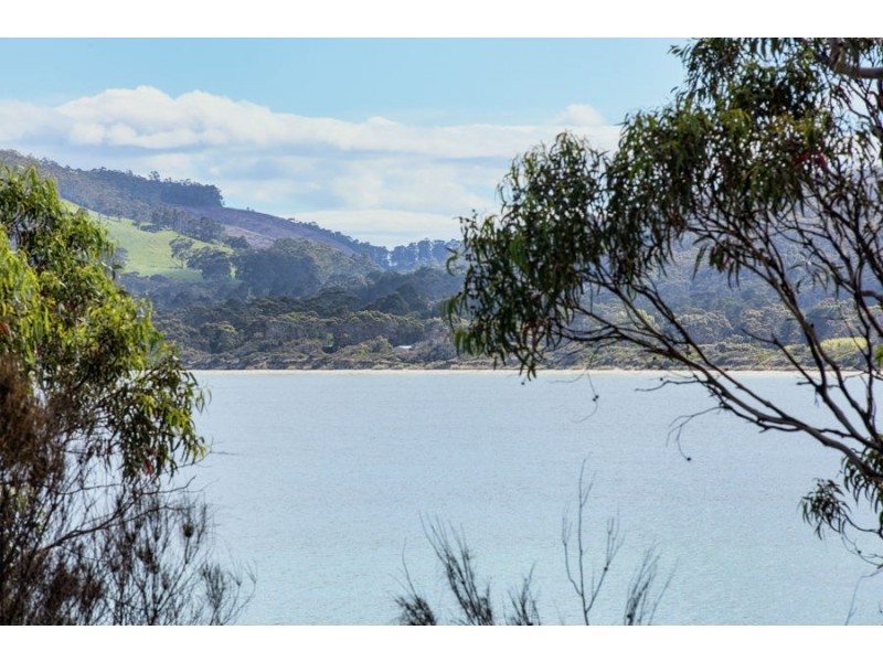 389 White Beach Road, White Beach TAS 7184