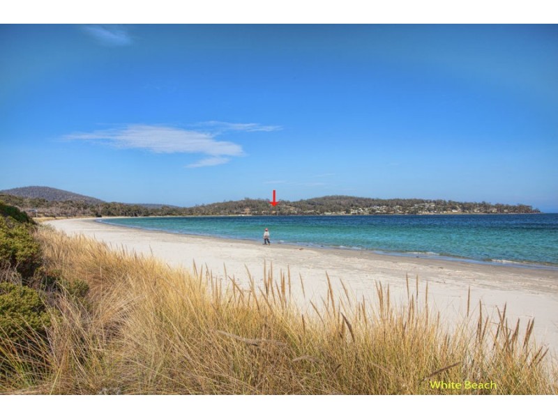 389 White Beach Road, White Beach TAS 7184