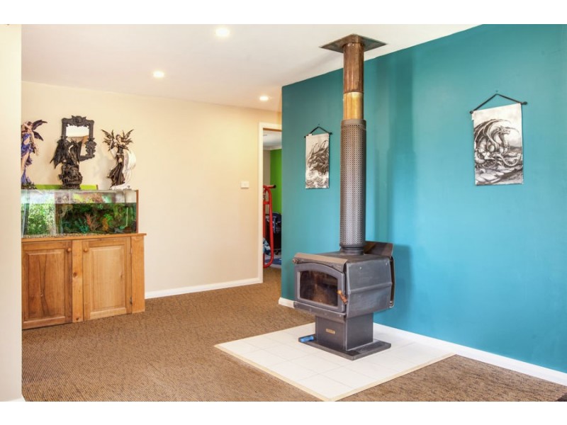 17 Olive Place, White Beach TAS 7184
