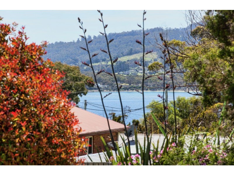 17 Olive Place, White Beach TAS 7184