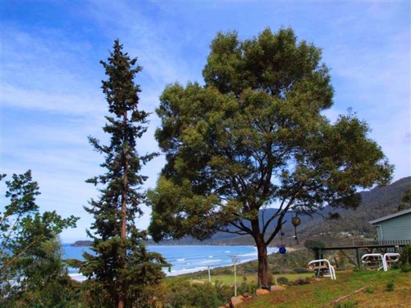 2 – 4 Hawks Lane, Eaglehawk Neck TAS 7179