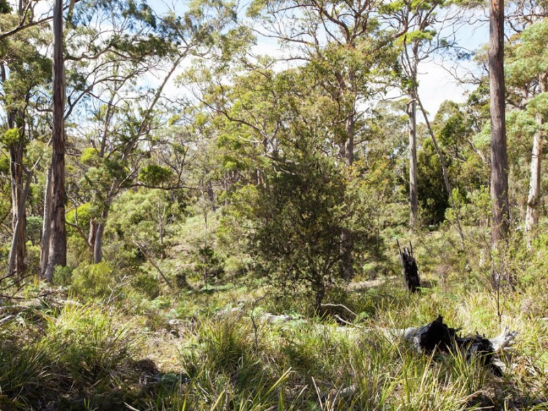 970 Roaring Beach Road, Nubeena TAS 7184