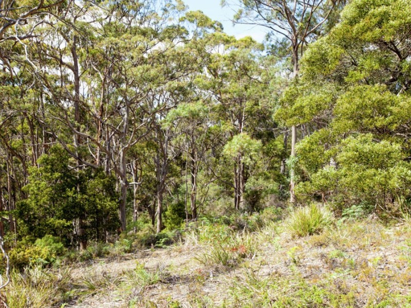 970 Roaring Beach Road, Nubeena TAS 7184