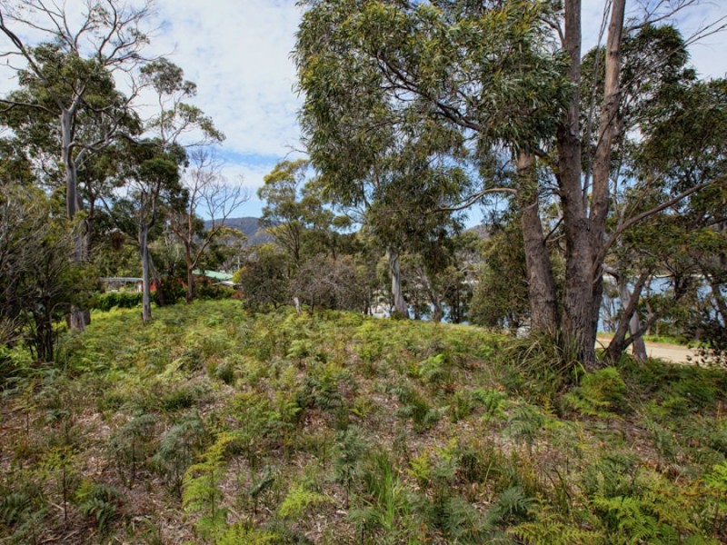 Lot 30 Apex Point Road, White Beach TAS 7184