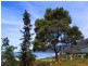 2-4 Hawks Lane, Eaglehawk Neck TAS 7179