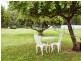122 Old Jetty Road, Eaglehawk Neck TAS 7179
