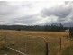 1251 Arthur Highway, Forcett TAS 7173